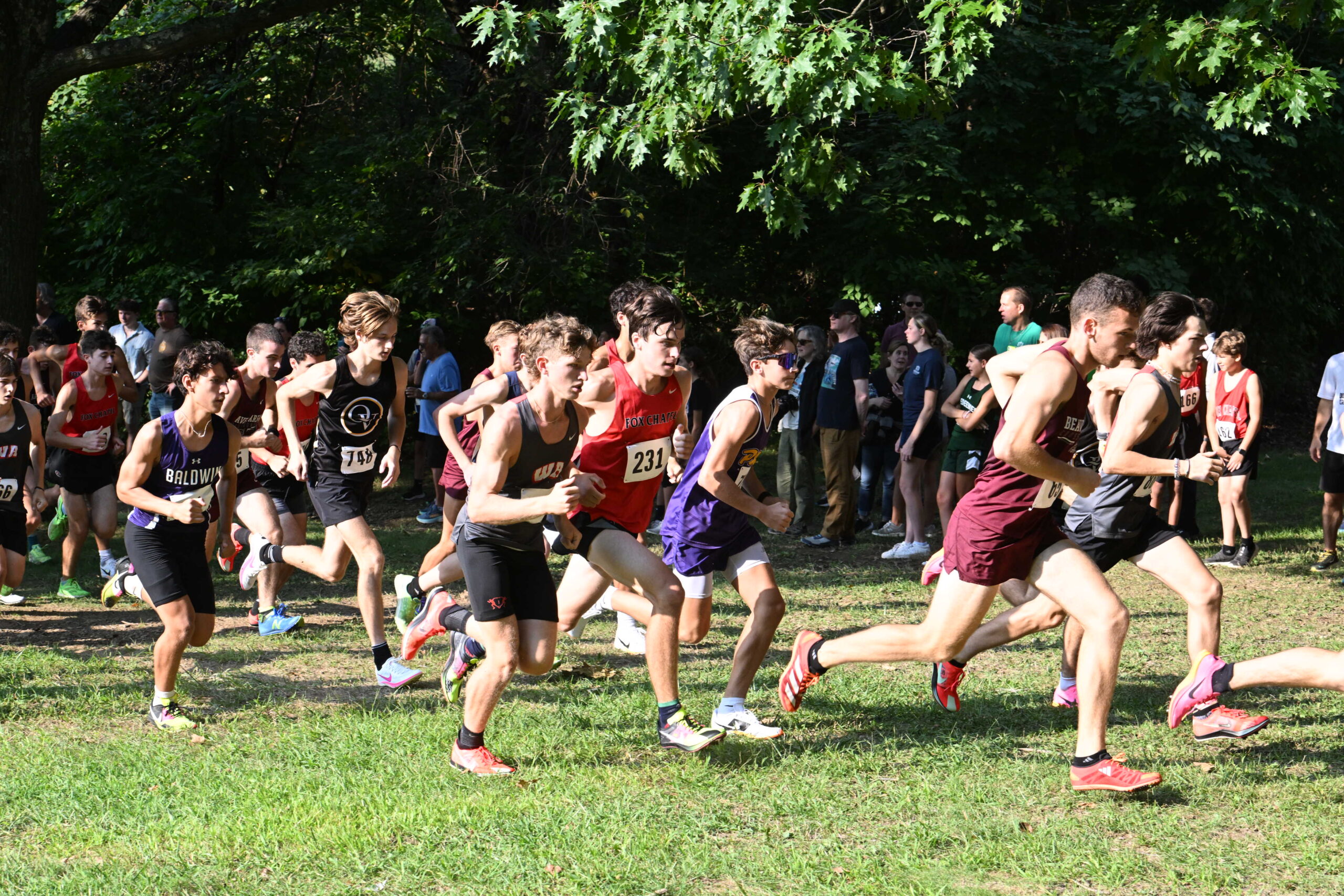 Cross-country runners