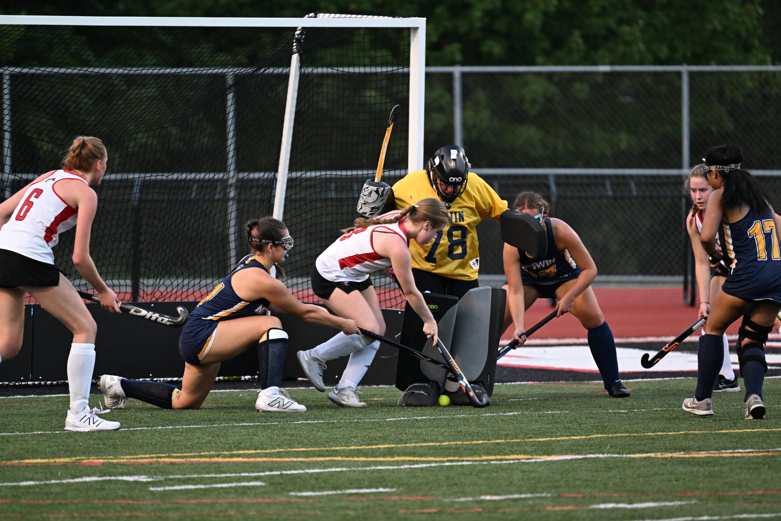 Field Hockey action