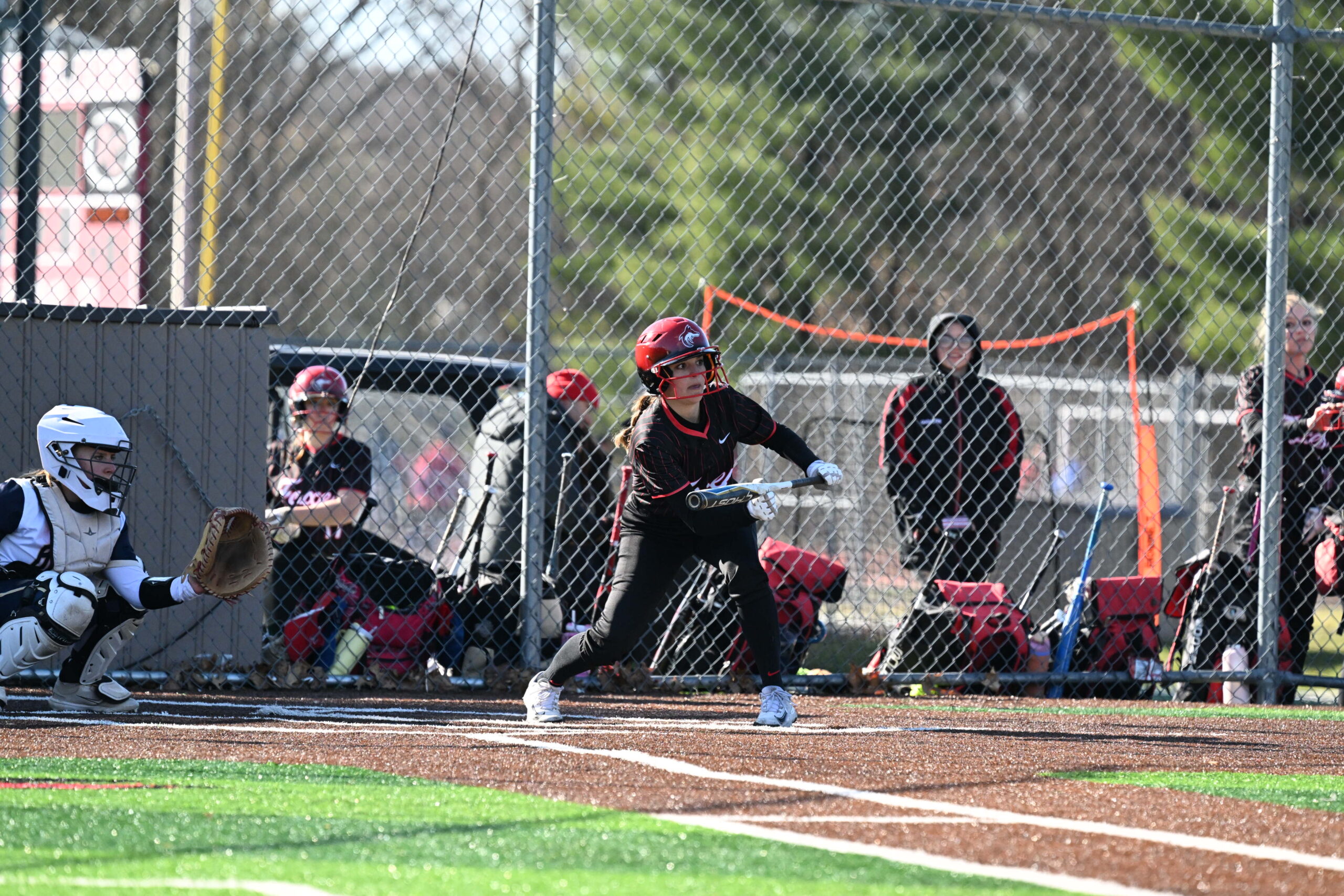 Softball batter